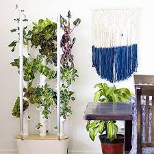 Gardyn Home Kit Indoor Vegetable Gardening Large Plants Organic Seeds