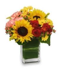 Check spelling or type a new query. Birthday Enclosure Card Messages