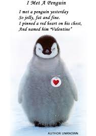 It appears that they are wearing a black and white outfit when they walk. Penguin Love Quotes Love Quotes Collection