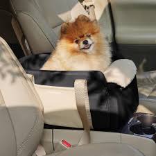 California'S Car Pool Lane: Who Can And Can'T Use It | Absolute Bail Bonds