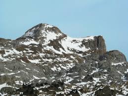 Image result for site:wikineos.com