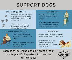 Emotional support dogs don't need qualifications (a pet that you already have can become your esa). All About Support Dogs Emotional Support Service Animals Therapy Dogs Summit Dog Training