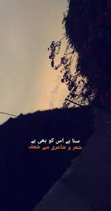 In this compilation, we have provided aesthetic quotes from tumblr that can fit any occasion whatsoever. Deep Aesthetic Quotes In Urdu Novocom Top