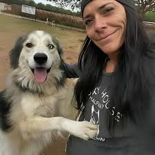 Dog adopted to loving home through social media post