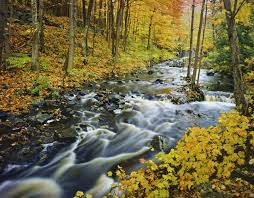 The green mountains of vermont are a popular vacation destination in new england drawing visitors from across america, canada and beyond. The Top Ways To Explore Green Mountain National Forest Getaway Vacations