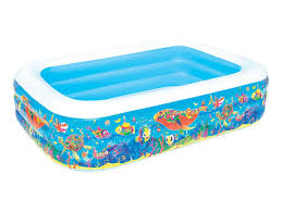 Piscine Rectangulaire Deluxe Decor Poissons 3 05 X 1 83 X 0 56 M 68122
