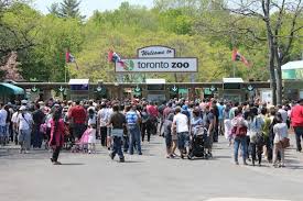 The toronto zoo is a wonderful tourist attraction. Toronto Zoo Go For Your Kids Stay For The Animals