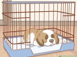 3 ways to train a saint bernard puppy wikihow