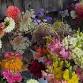 Flower Bar…in the Garden!