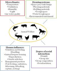 Learn how animals adapt to these edge habitats. The Disturbed Habitat And Its Effects On The Animal Population Intechopen