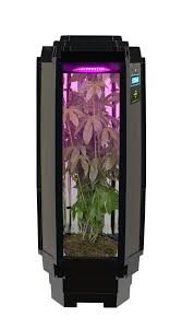 Check spelling or type a new query. Indoor Growing Phototron Gives 5 Healthy Reasons To Join The Grow Your Own Revolution