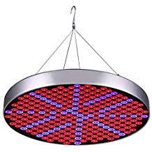 Check spelling or type a new query. Top 10 Cheap Grow Lights For Weed Cheapest Led Grow Lights In 2021