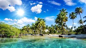 Beau Paysage Tropiques Plage Palmiers Mer Soleil Fonds D Ecran 2560x1440 Qhd Tropique Fond Ecran Nature Paysage