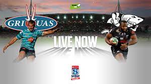 Here on sofascore livescore you can find all natal sharks vs griquas previous results sorted by their h2h matches. Recap Griquas V Sharks Rugby365