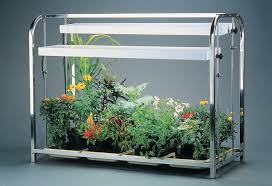 Share to support our website. Dig In And Watch Literacy Grow 104 Chicagoland Lutheran Educational Foundation