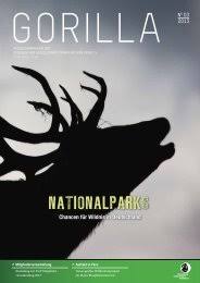 Image result for Kotschya prittwitzii