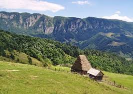 Turismul rural este o componenta cu un mare potential in turismul romanesc doar ca din nefericire acest tip de turism duce lipsa de promovare si dezvoltare in tara noastra. Salciua Romanian Landscape Carpathian Romanian Mountains Apuseni Rural House Landscape Romania People