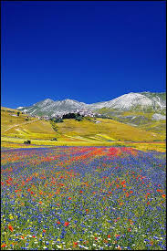 Castelluccio Scenery Beautiful Landscapes Beautiful Nature