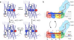 Image result for tbn:InRtqFneI1g0WM::kora.alhnuf.com/attachments/505d1265455719-%D9%83%D8%B1%D9%8A%D9%85-%D8%B2%D9%8A%D8%A7%D9%86%D9%8A-%D8%B5%D9%88%D8%B1