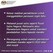 Apa Itu Stem Pendidikan