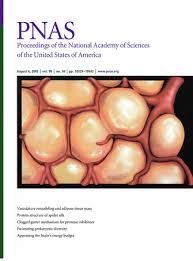 Image result for Blue 1999 AAV