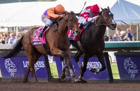 Beholder And Songbird Fight To The Finish In Breeders Cup