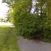 We are a tree service. Best 16 Tree Service In Madisonville Ky With Reviews Yp Com