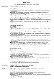 Consultants use their knowledge of real estate, stocks, bonds, assets, risks, and investments to help their clients increase their personal earnings, business revenues, real estate holdings, or other financial returns. Digital Consultant Resume Samples Velvet Jobs
