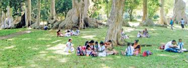 The Sunday Times, Sri Lanka - News update