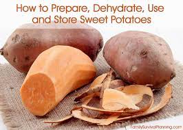 How To Prepare Dehydrate Use Store Sweet Potatoes For Storage