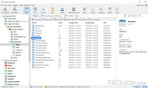 The classicmodels database is a retailer of scale models of classic cars database. Navicat Premium 15 0 21 Database Development Tool