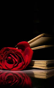 Red Rose Book Wallpaper Iphone Best Iphone Wallpaper Book Wallpaper Red Roses Wallpaper Iphone Wallpaper