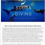 sca_esv=2f61a0c390a4d1ff Scuba diving certification near me from www.deepsixspecialists.com