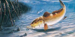 Feel free to send us your own wallpaper and we will. Fish Hd Wallpaper Background Image 3001x1500