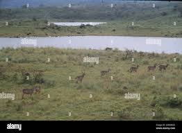 Lipson hi-res stock photography and images