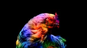 There are a bunch of subreddits with good wallpapers for mobile, desktop, etc. Chicken Colorful Black Background Amoled 4k Free Desktop 4k Wallpapers Ultra Hd