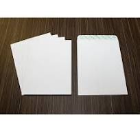 Business Source Self Sealing Catalog Envelope - Catalog - 9 ...