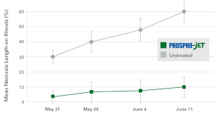 Incidence Of Blossom Blight On Flowers Of Crab Apple Arborjet