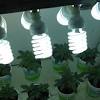 Mars hydro 600w led grow light full spectrum for indoor veg flower plant lamp. Https Encrypted Tbn0 Gstatic Com Images Q Tbn And9gcq2aptdckydzx0jn3 S7xktfhcusaefxsh1dk6zocajyuxcznfz Usqp Cau