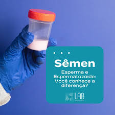 Sêmen, Esperma e Espermatozoide: Você conhece a diferença?