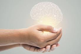 Best Online Therapy Programs: Top Virtual Therapy Platforms That Work |  Kirkland Reporter
