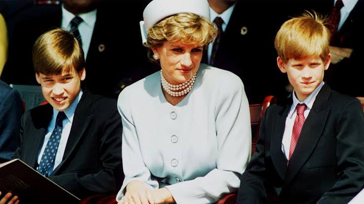 Can Prince Harry and Prince William Get Along for the Sake of the Princess  Diana Tribute? | Vanity Fair