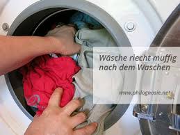 Wasche Stinkt Riecht Muffig Nach Dem Waschen Wasche Stinkt Waschmaschine Und Waschmaschine Riecht