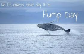 Happy Wednesday Coastal Lovers Wednesday Humor Wednesday Memes Happy Wednesday Quotes