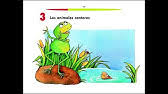 Paco el chato pdf cuento. Paco El Chato Cuentos Infantiles Youtube