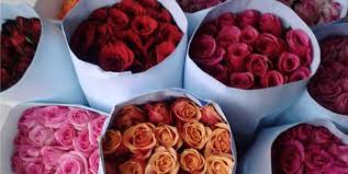 People interested in sekuntum bunga also searched for. Sekuntum Mawar Sejuta Kisah Halaman All Kompasiana Com