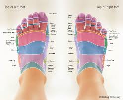 Reflexology Foot Maps To Maximise Your Massage Foot