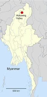 Camel spiders have different names and a variety of rumors about their size, behavior and bites. Map Of Myanmar Showing The Position Of The Hukawng Valley The Locality Download Scientific Diagram