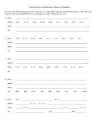 Types of chemical bonds worksheets answer key. 60 Best Transcription And Translation Ideas Transcription And Translation Transcription Biology Classroom