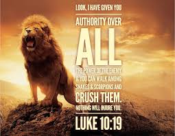 Crush them ALL! Luke 10:19 | Luke 10 19, Illustrated faith bible ...